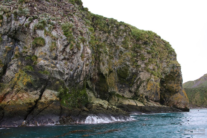 Elsehul
