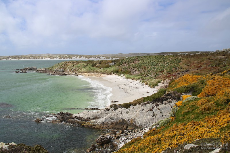 Gypsy Cove