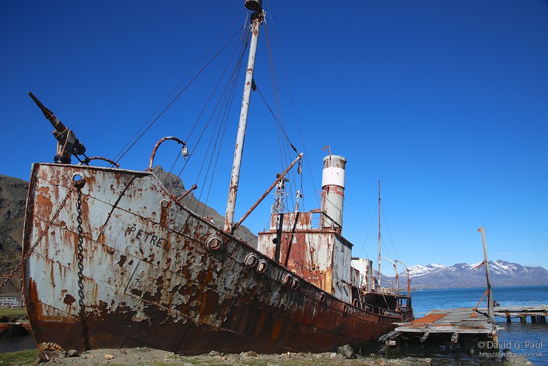 Shipwreck of the Petrel