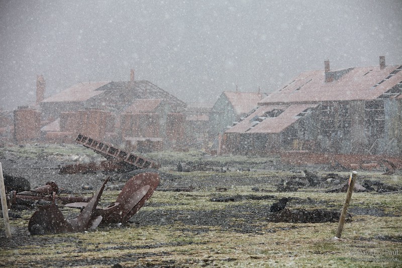 Stromness Whaling Station