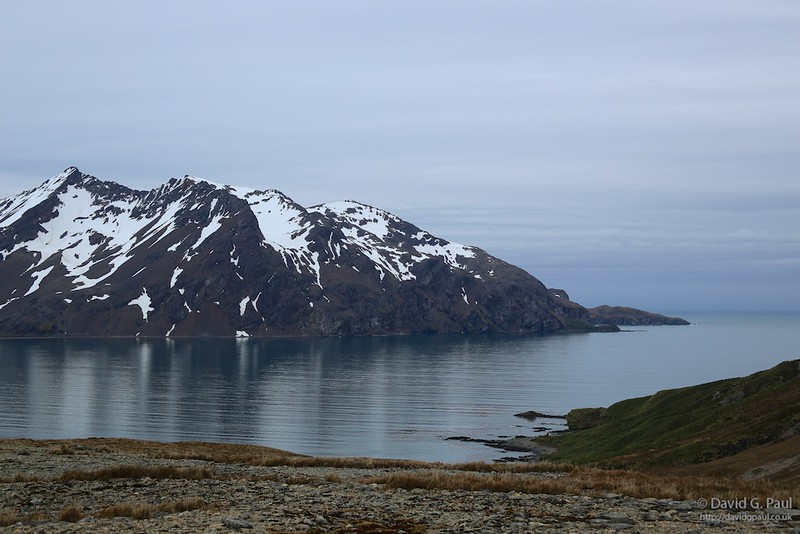 Fortuna Bay