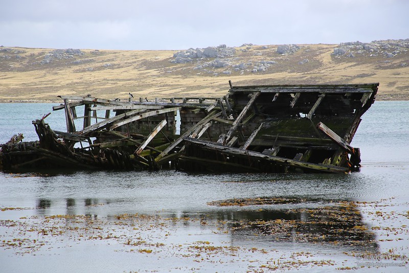 Shipwreck, Port Stanley