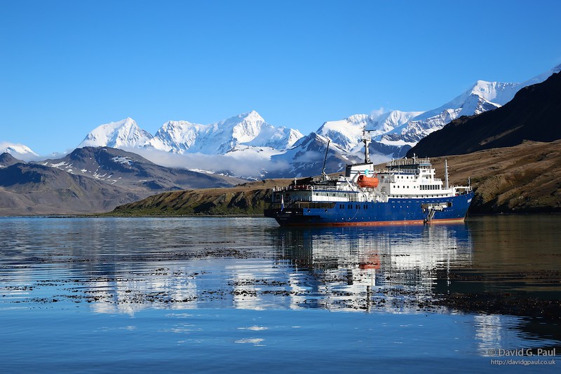 Plancius anchored at Grytviken
