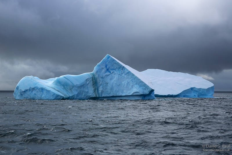 Iceberg