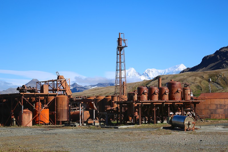 Grytviken Whaling Station