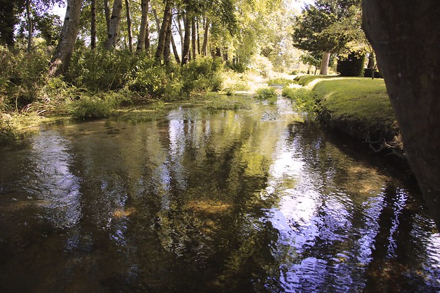 Stream at Athelhampton House