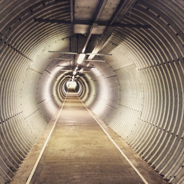 Tunnel to the Paddocks