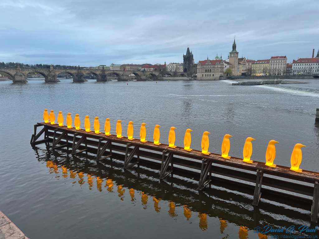 Yellow, lit-up penguins, lined up along the waters edge