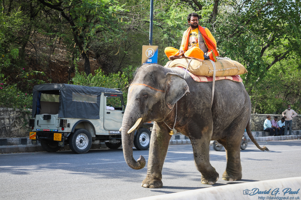 An elephant being ridden by a man on a road