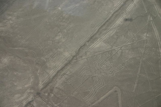 Nazca Lines - Spider