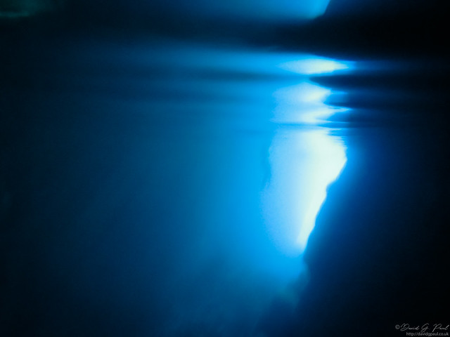 In the seal cave