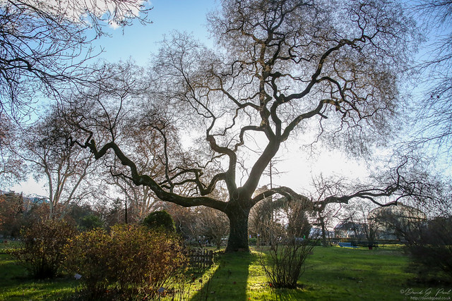 Botanical Gardens