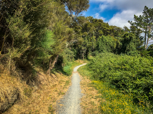 Tongariro River Walk