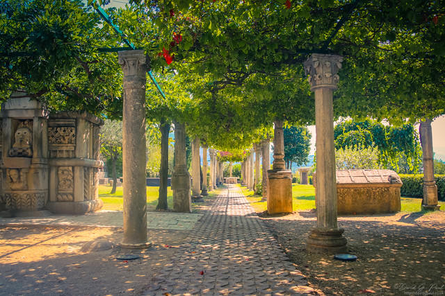 Salona