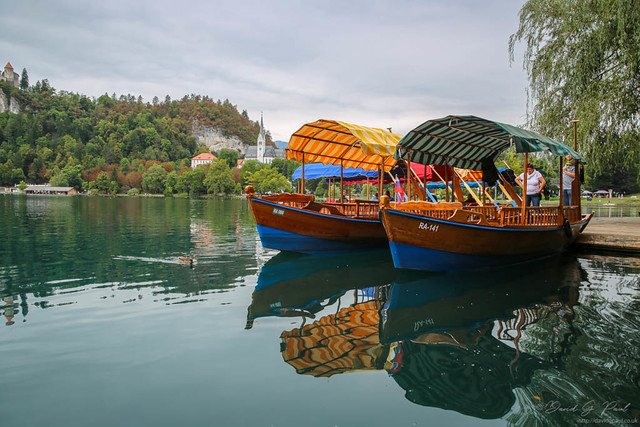 Plenta boats