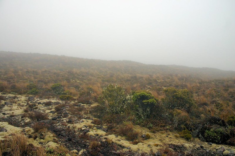 Volcanic Landscape, The Tongariro crossing