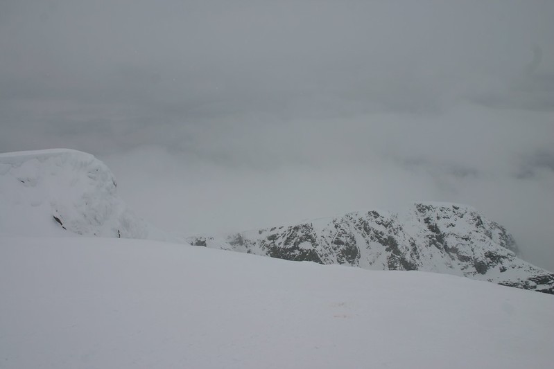 Near the edge of a gully