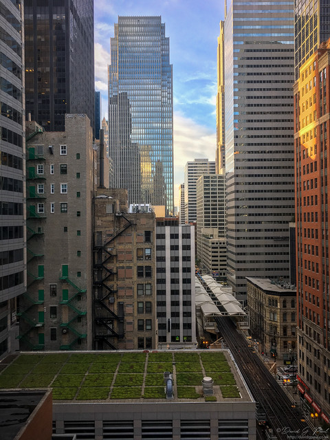View from the room