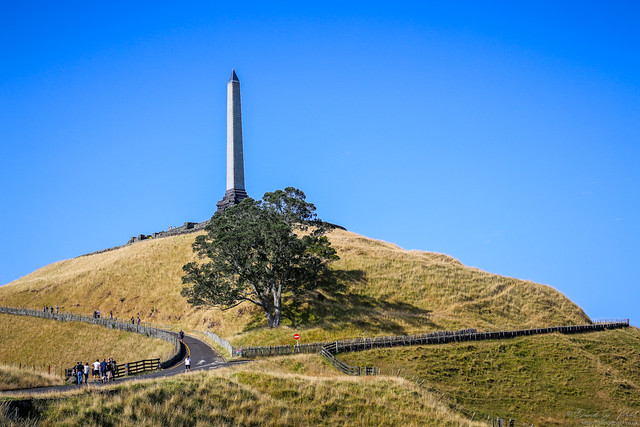 One Tree Hill