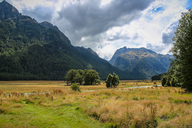 Scenery on the way to Milford Sound