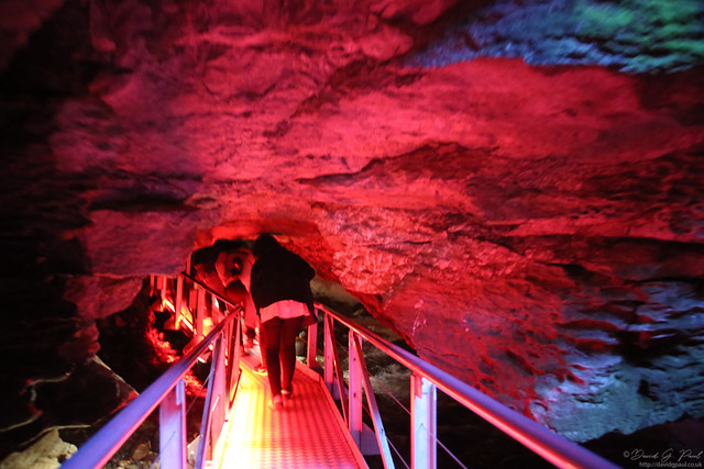 Entering the Glow Worm Caves