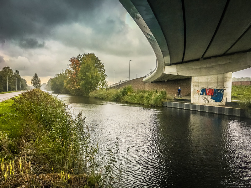 Sheltering under a bridge