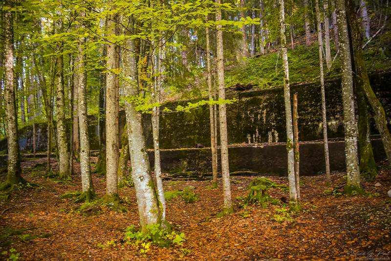 Berghof