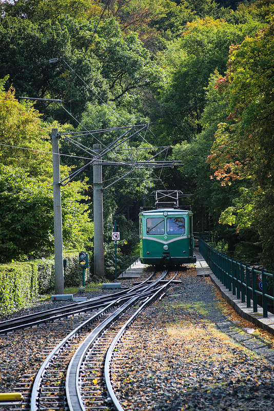 Drachenfels train