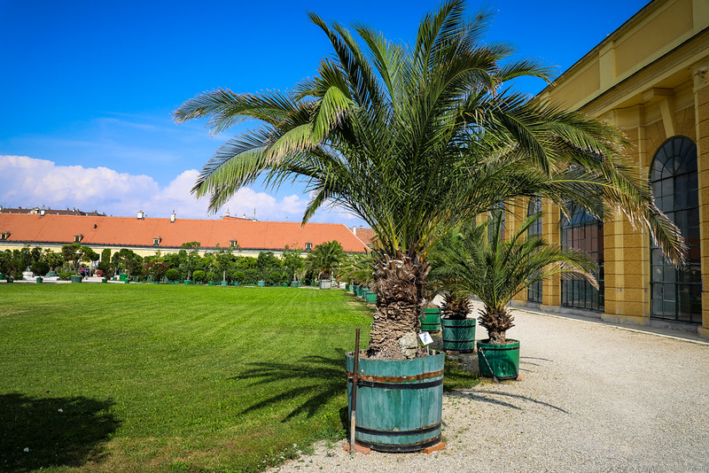 Schönbrunn Palace