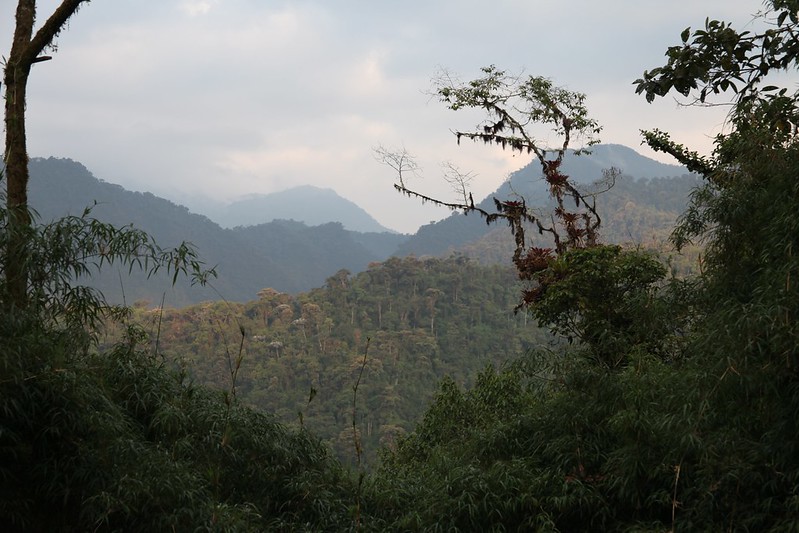 Bellavista Cloud Forest