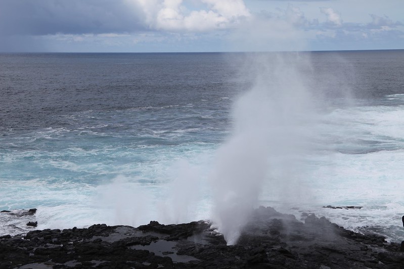 Blowhole