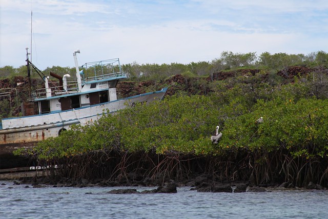 Isla Santa Cruz