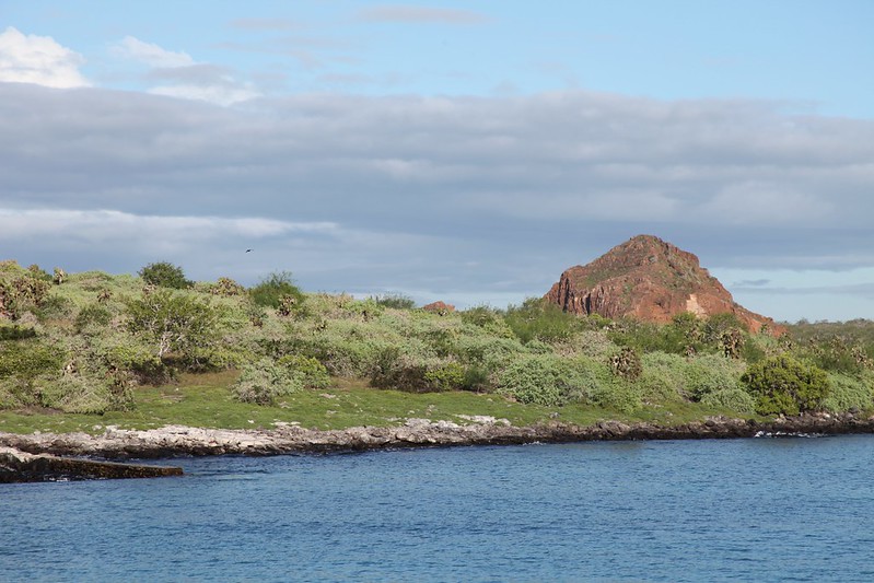 Isla Plaza Sur