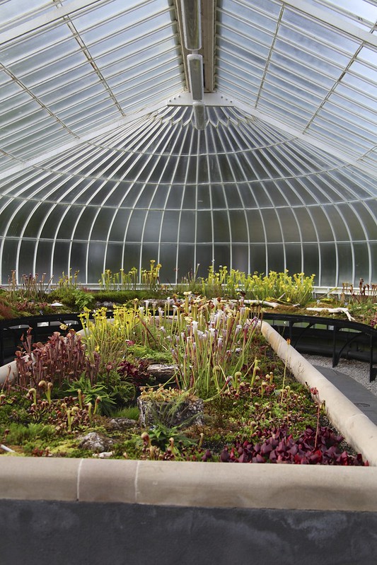 Kibble Palace
