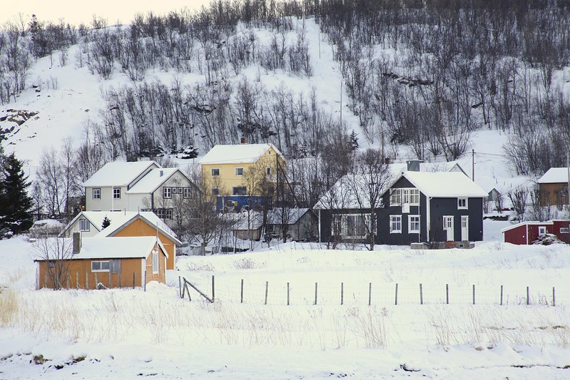 Tolvik
