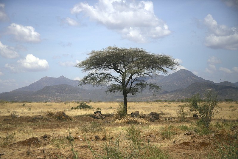 Samburu