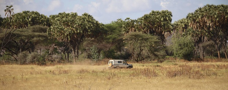 Driving across the Samburu National Park