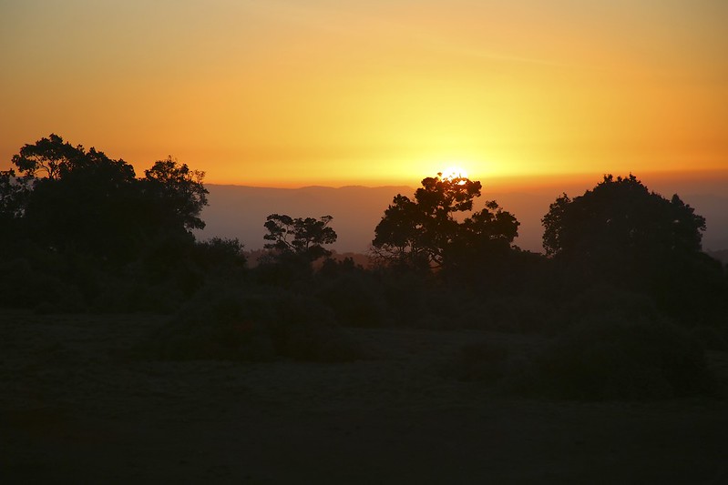 Sunset at the Ark