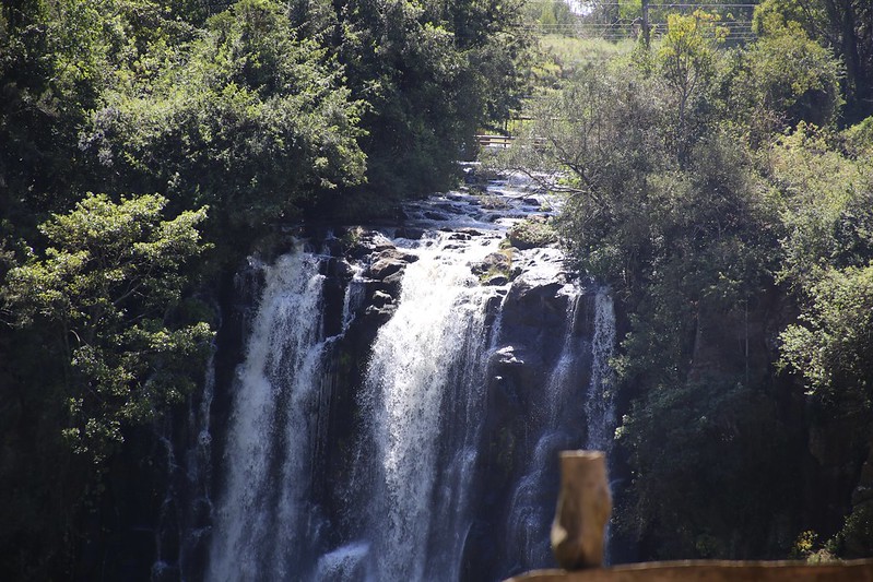 Thomson’s Falls