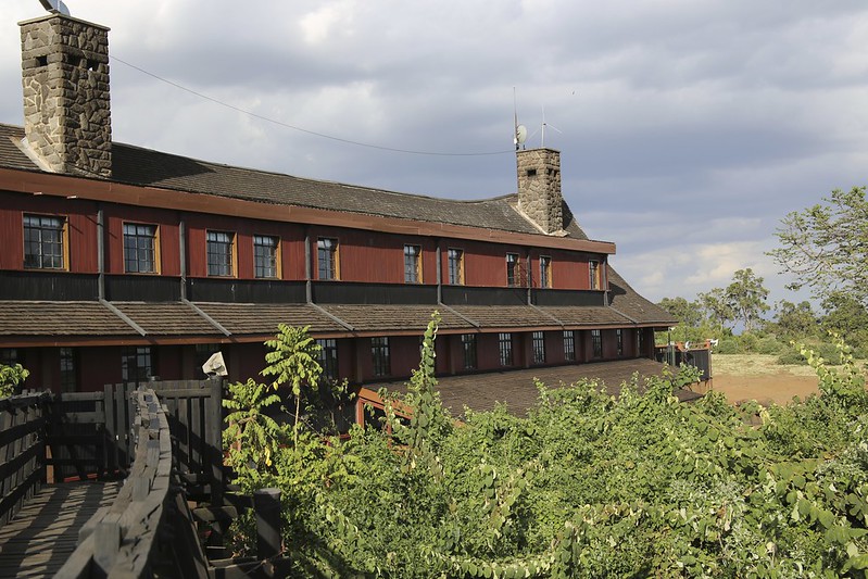 The Ark