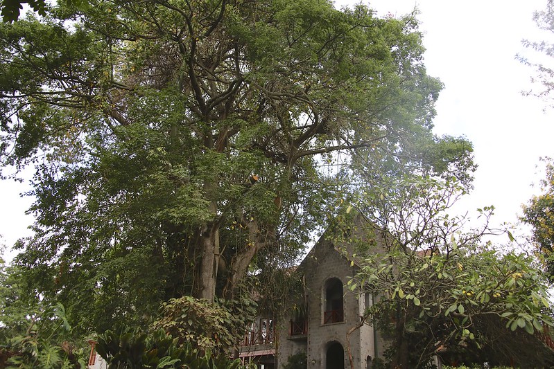 Serena Mountain Lodge
