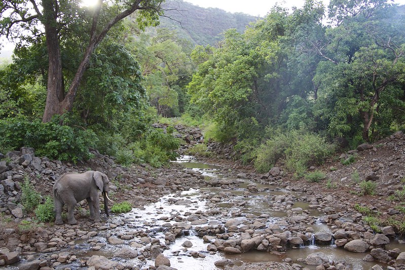 Lake Manyara