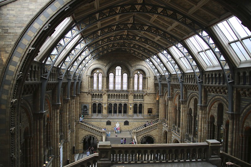 The Natural History Museum Interior