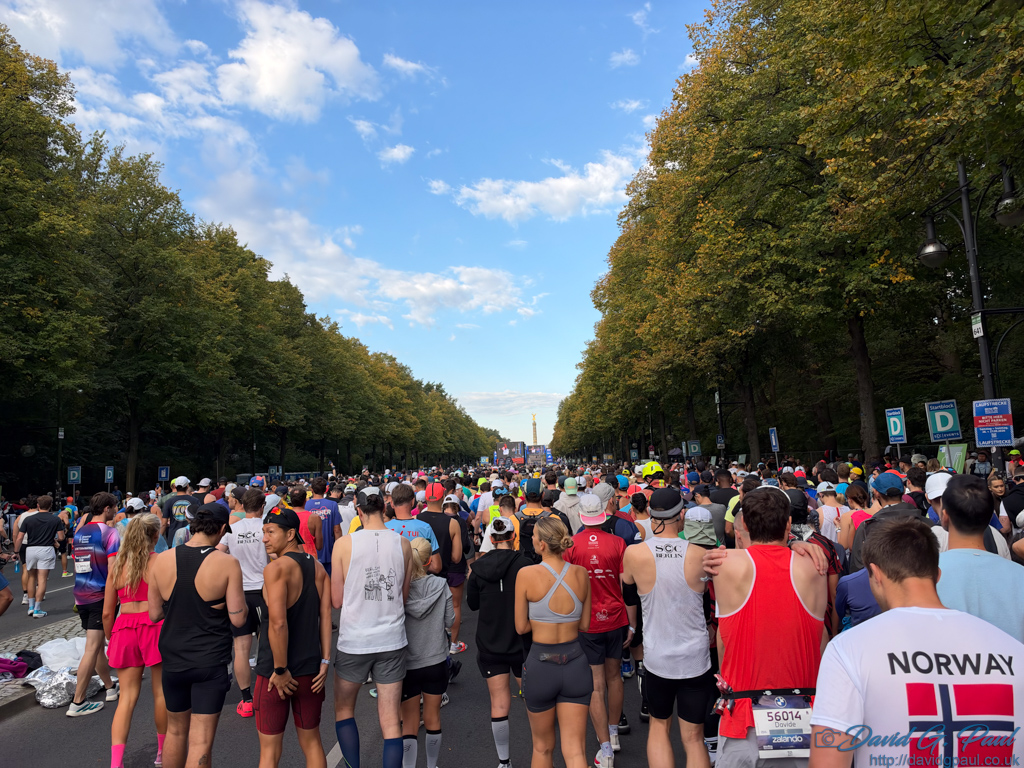 Many runners lined up along a tree-lined road